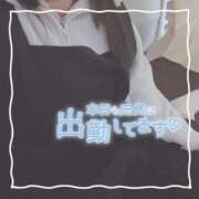 ヒメ日記 2025/03/07 15:03 投稿 ちい 京都祇園・南インターちゃんこ