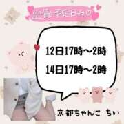 ヒメ日記 2025/03/09 14:04 投稿 ちい 京都祇園・南インターちゃんこ