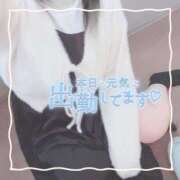 ヒメ日記 2025/03/14 17:00 投稿 ちい 京都祇園・南インターちゃんこ