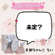 ヒメ日記 2025/03/15 03:06 投稿 ちい 京都祇園・南インターちゃんこ