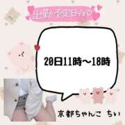 ヒメ日記 2025/03/19 12:04 投稿 ちい 京都祇園・南インターちゃんこ
