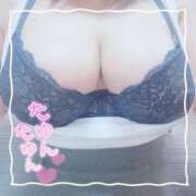 ヒメ日記 2025/03/19 19:49 投稿 ちい 京都祇園・南インターちゃんこ