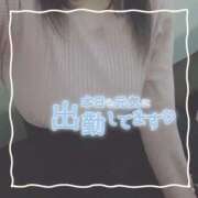 ヒメ日記 2025/03/20 11:16 投稿 ちい 京都祇園・南インターちゃんこ