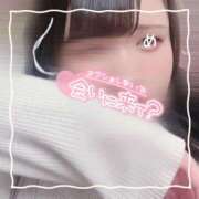 ヒメ日記 2025/03/30 16:47 投稿 ちい 京都祇園・南インターちゃんこ