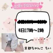 ヒメ日記 2025/04/03 22:20 投稿 ちい 京都祇園・南インターちゃんこ