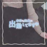 ヒメ日記 2025/04/12 16:02 投稿 ちい 京都祇園・南インターちゃんこ