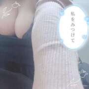 ヒメ日記 2025/04/14 18:05 投稿 ちい 京都祇園・南インターちゃんこ