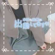 ヒメ日記 2025/04/17 11:17 投稿 ちい 京都祇園・南インターちゃんこ