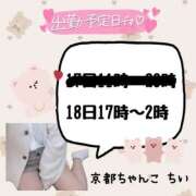 ヒメ日記 2025/04/17 20:13 投稿 ちい 京都祇園・南インターちゃんこ