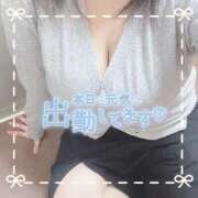 ヒメ日記 2025/05/02 15:05 投稿 ちい 京都祇園・南インターちゃんこ