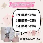 ヒメ日記 2025/05/09 18:16 投稿 ちい 京都祇園・南インターちゃんこ