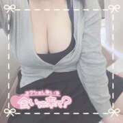 ヒメ日記 2025/05/23 14:08 投稿 ちい 京都祇園・南インターちゃんこ