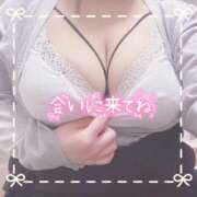 ヒメ日記 2025/05/30 16:05 投稿 ちい 京都祇園・南インターちゃんこ