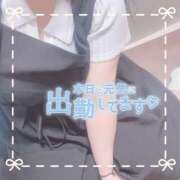 ヒメ日記 2025/06/17 16:43 投稿 ちい 京都祇園・南インターちゃんこ