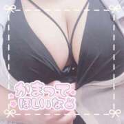 ヒメ日記 2025/08/29 15:30 投稿 ちい 京都祇園・南インターちゃんこ