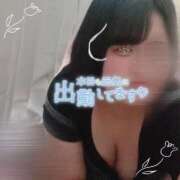 ヒメ日記 2025/09/05 16:07 投稿 ちい 京都祇園・南インターちゃんこ