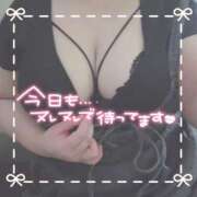 ヒメ日記 2025/10/04 16:55 投稿 ちい 京都祇園・南インターちゃんこ