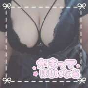 ヒメ日記 2025/10/04 18:02 投稿 ちい 京都祇園・南インターちゃんこ