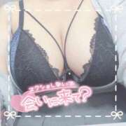 ヒメ日記 2025/10/07 22:23 投稿 ちい 京都祇園・南インターちゃんこ