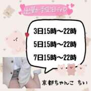 ヒメ日記 2025/10/31 22:03 投稿 ちい 京都祇園・南インターちゃんこ