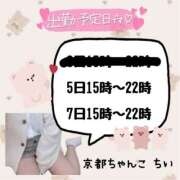 ヒメ日記 2025/11/03 22:05 投稿 ちい 京都祇園・南インターちゃんこ