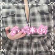 ヒメ日記 2025/11/07 16:10 投稿 ちい 京都祇園・南インターちゃんこ