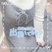 ヒメ日記 2025/11/17 15:10 投稿 ちい 京都祇園・南インターちゃんこ