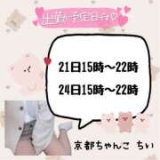 ヒメ日記 2025/11/19 22:15 投稿 ちい 京都祇園・南インターちゃんこ