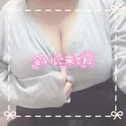 ヒメ日記 2025/11/21 17:01 投稿 ちい 京都祇園・南インターちゃんこ