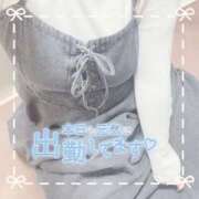 ヒメ日記 2025/11/24 15:02 投稿 ちい 京都祇園・南インターちゃんこ