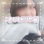 ヒメ日記 2025/12/03 14:31 投稿 ちい 京都祇園・南インターちゃんこ