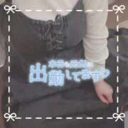 ヒメ日記 2025/12/03 15:10 投稿 ちい 京都祇園・南インターちゃんこ