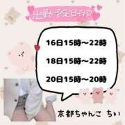 ヒメ日記 2025/12/14 16:55 投稿 ちい 京都祇園・南インターちゃんこ