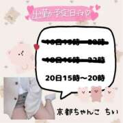 ちい 🩵🪼🩵 京都祇園・南インターちゃんこ