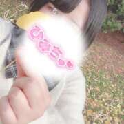 ヒメ日記 2025/12/31 14:23 投稿 ちい 京都祇園・南インターちゃんこ