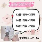 ヒメ日記 2026/01/09 15:47 投稿 ちい 京都祇園・南インターちゃんこ