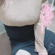 ヒメ日記 2026/02/20 15:13 投稿 ちい 京都祇園・南インターちゃんこ