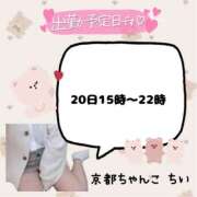 ヒメ日記 2026/03/18 22:10 投稿 ちい 京都祇園・南インターちゃんこ