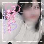 ヒメ日記 2026/03/25 21:04 投稿 ちい 京都祇園・南インターちゃんこ