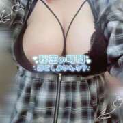 ヒメ日記 2026/04/17 12:08 投稿 ちい 京都祇園・南インターちゃんこ