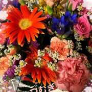 ヒメ日記 2025/01/24 03:57 投稿 つむぎ 変態プレイ専門店 マニアック女人館 本館