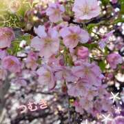 ヒメ日記 2025/03/15 18:45 投稿 つむぎ 変態プレイ専門店 マニアック女人館 本館