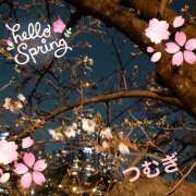 ヒメ日記 2025/03/27 02:47 投稿 つむぎ 変態プレイ専門店 マニアック女人館 本館