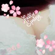 ヒメ日記 2025/04/01 04:22 投稿 つむぎ 変態プレイ専門店 マニアック女人館 本館