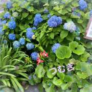 ヒメ日記 2025/05/28 00:53 投稿 つむぎ 変態プレイ専門店 マニアック女人館 本館