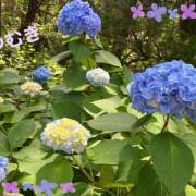 ヒメ日記 2025/06/13 04:58 投稿 つむぎ 変態プレイ専門店 マニアック女人館 本館