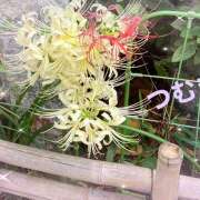 ヒメ日記 2025/09/30 16:09 投稿 つむぎ 変態プレイ専門店 マニアック女人館 本館