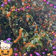 ヒメ日記 2025/10/30 19:03 投稿 つむぎ 変態プレイ専門店 マニアック女人館 本館