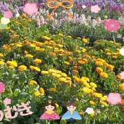 ヒメ日記 2026/02/25 01:58 投稿 つむぎ 変態プレイ専門店 マニアック女人館 本館