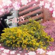 ヒメ日記 2026/03/11 15:59 投稿 つむぎ 変態プレイ専門店 マニアック女人館 本館